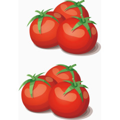 西红柿组合