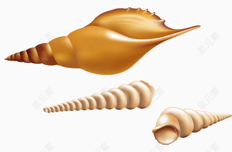 海边海螺