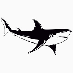 黑白简笔鲨鱼