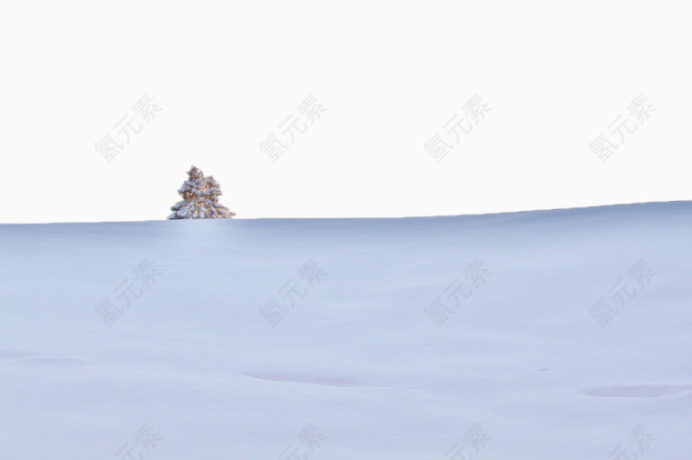 雪景