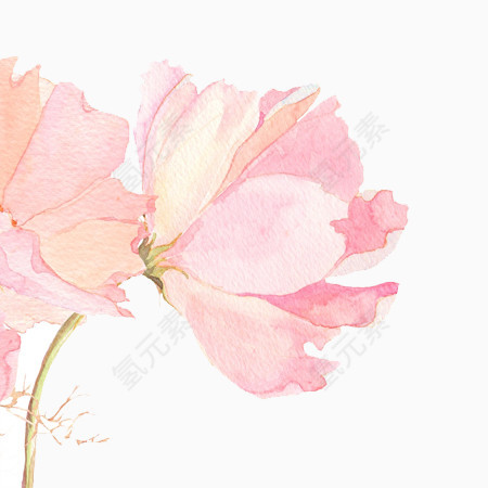 手绘粉色花朵唯美