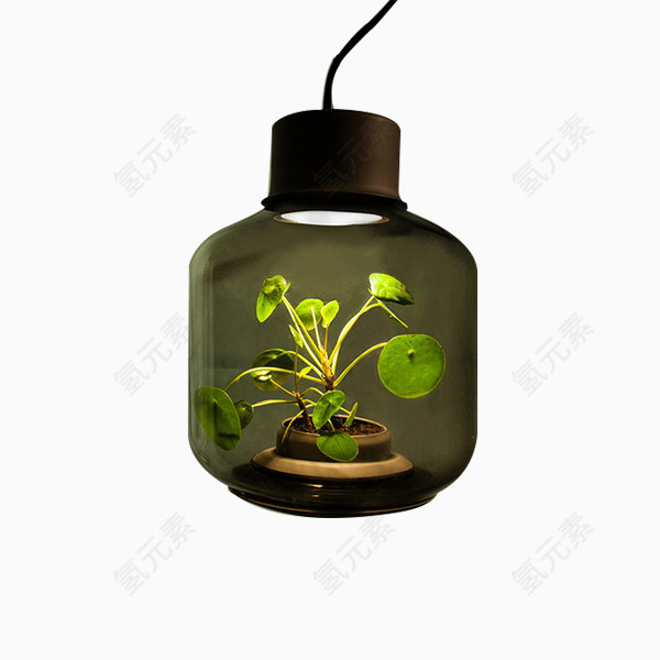 创意植物灯具