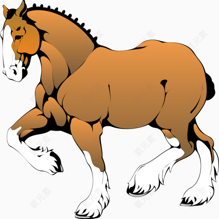 棕色的马驹