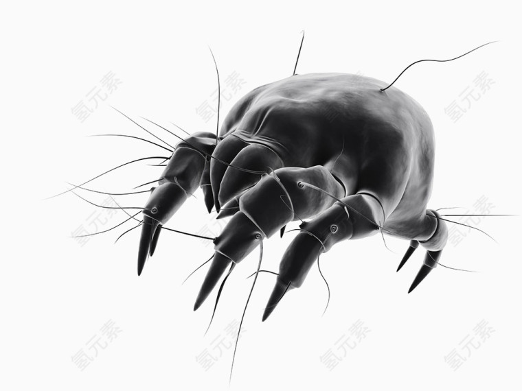 黑色狰狞甲壳虫手绘