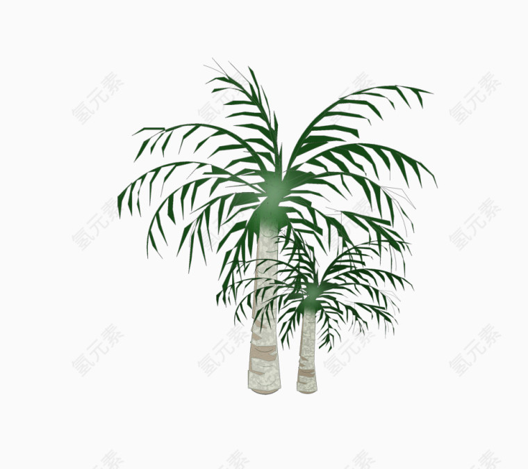 椰子树平面