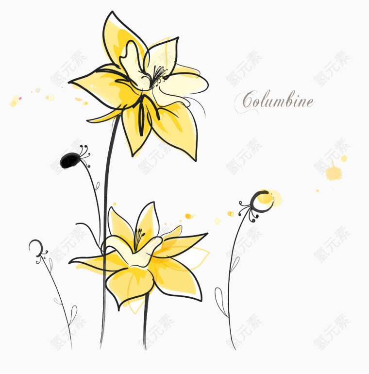 黄色花儿