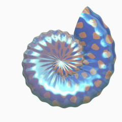 艳丽的海螺