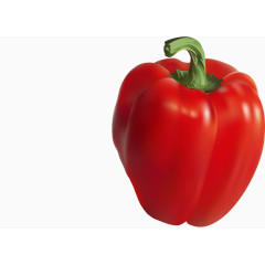 鲜红的蕃茄写真矢量图