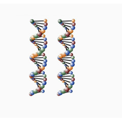 免抠素材分子生物