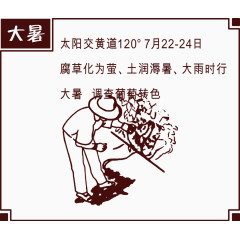 手绘大暑插图矢量图