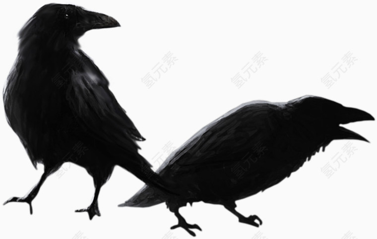 两只黑色小鸟