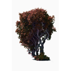 褐色简约树木装饰图案