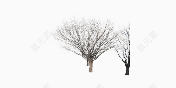 冬季枯木简约矢量图