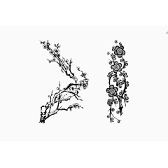 梅花树枝