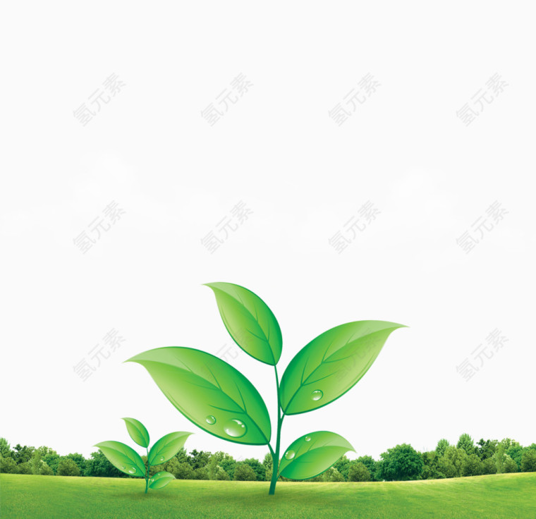 绿色树叶爱护环境主题