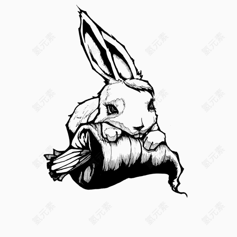 钢笔画兔子