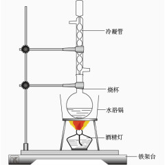 提取胡萝卜素