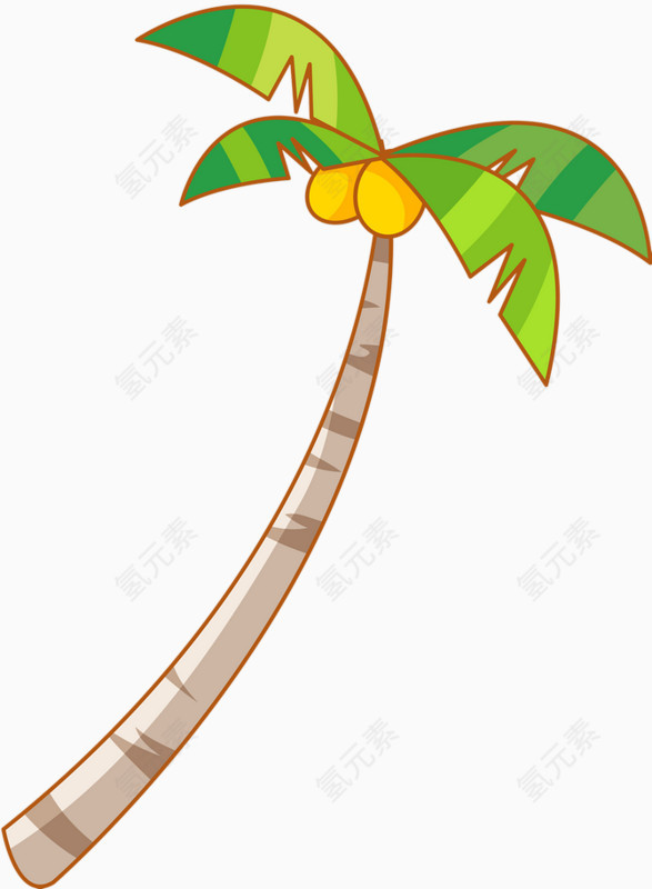 热带椰子树