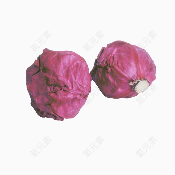 紫包菜图片素材