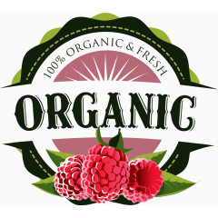 矢量蔓越莓标签