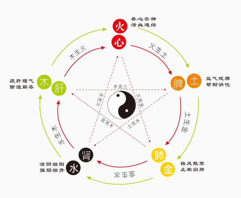 五行与内脏下载