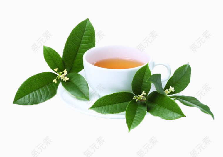 好喝的桂花茶