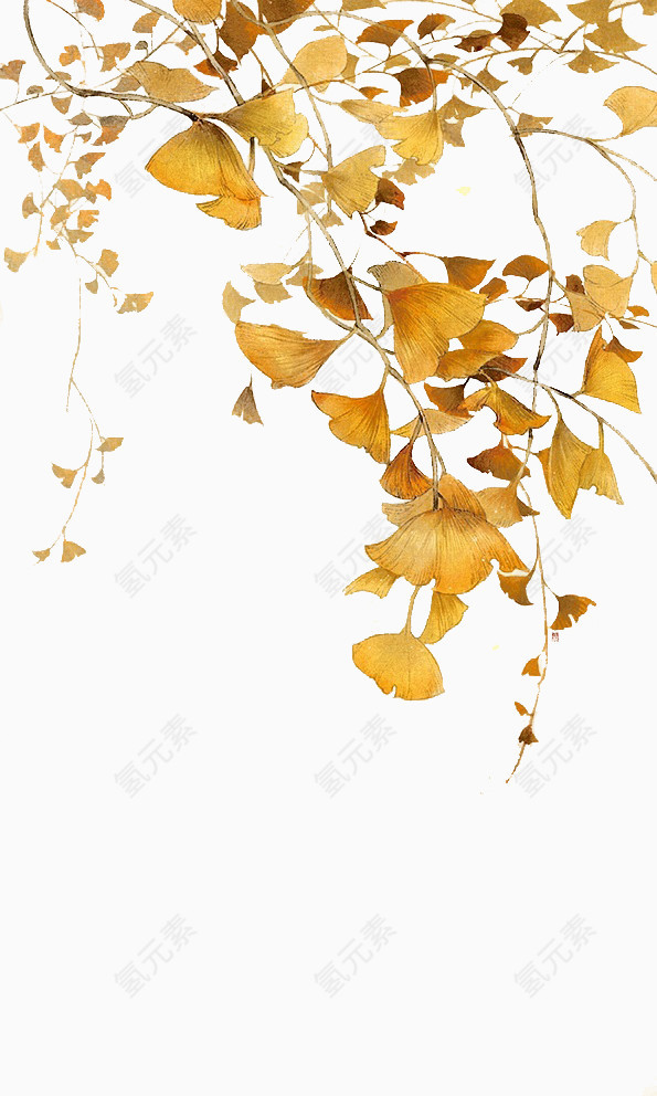 金黄色枫叶飘落装饰
