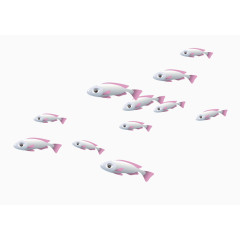 粉色白色相间的小鱼群