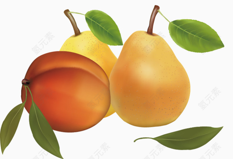各种水果桃子