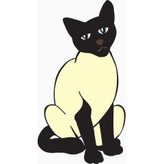黑白色的小猫