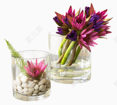 养花透明玻璃杯子