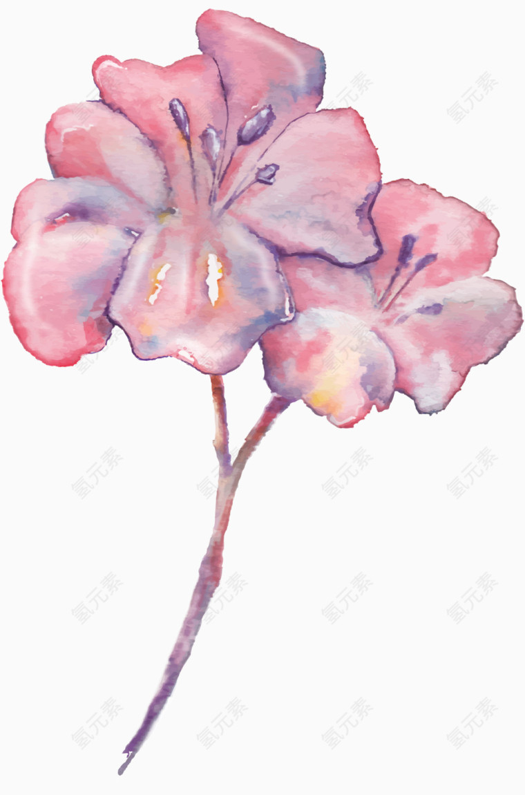 粉色手绘花卉