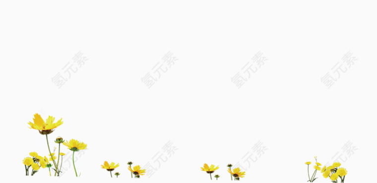 黄色清新小花朵装饰图案