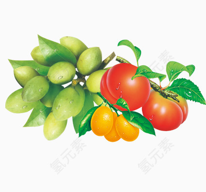 西红柿和水果