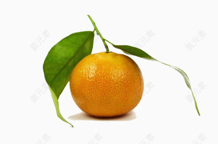 一颗小橘子
