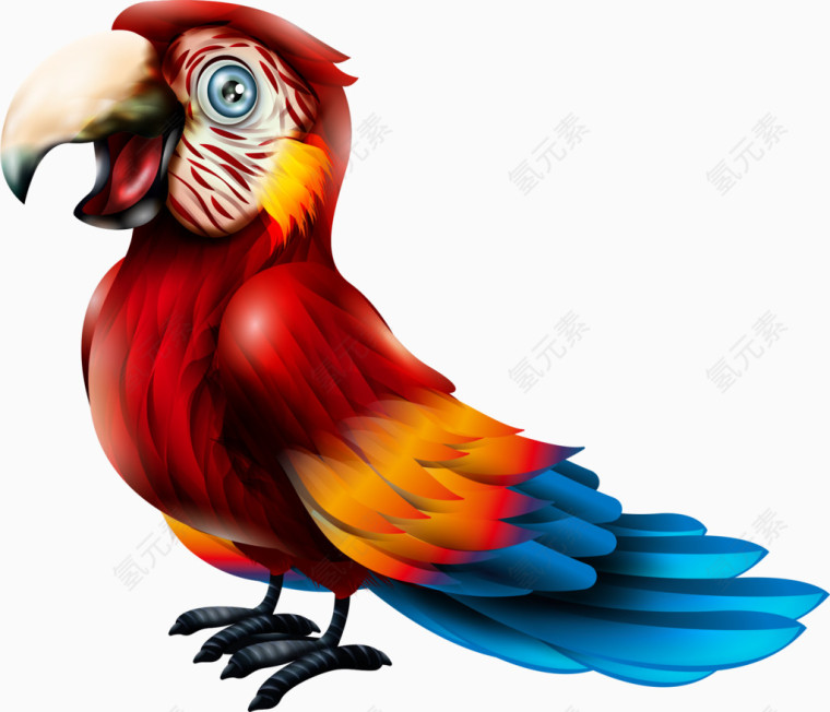 矢量红色鹦鹉