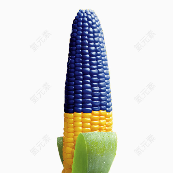 蓝黄的玉米免抠素材
