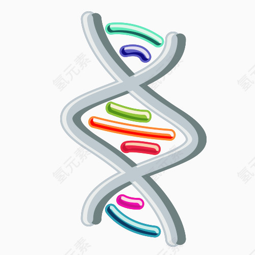 卡通分子结构