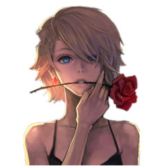 嘴巴叼着一朵红色玫瑰的女生