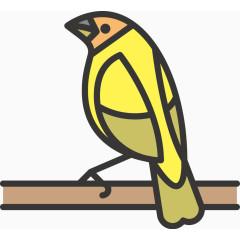 黄色鸟