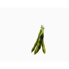 创意平面艺术设计蔬菜豌豆