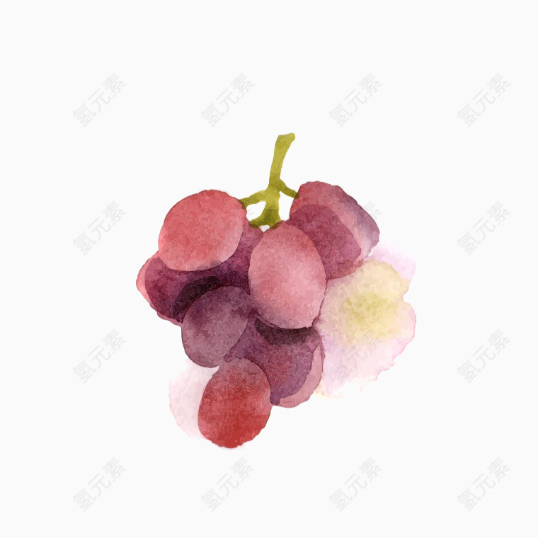 水彩酒红葡萄