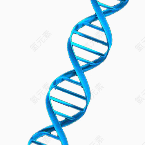 蓝色基因链
