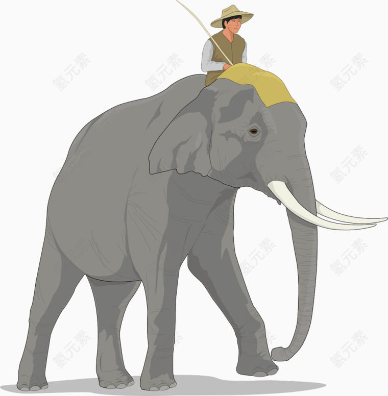 骑着大象