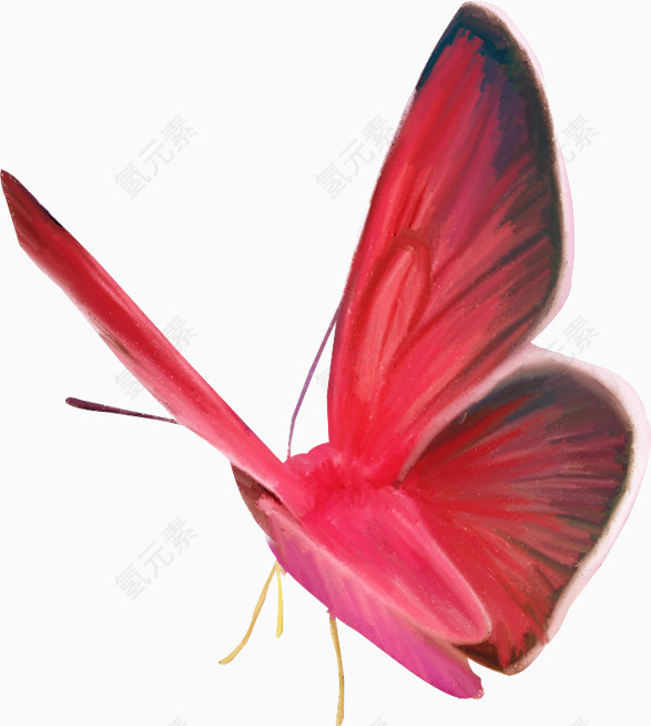 红色漂亮手绘蝴蝶