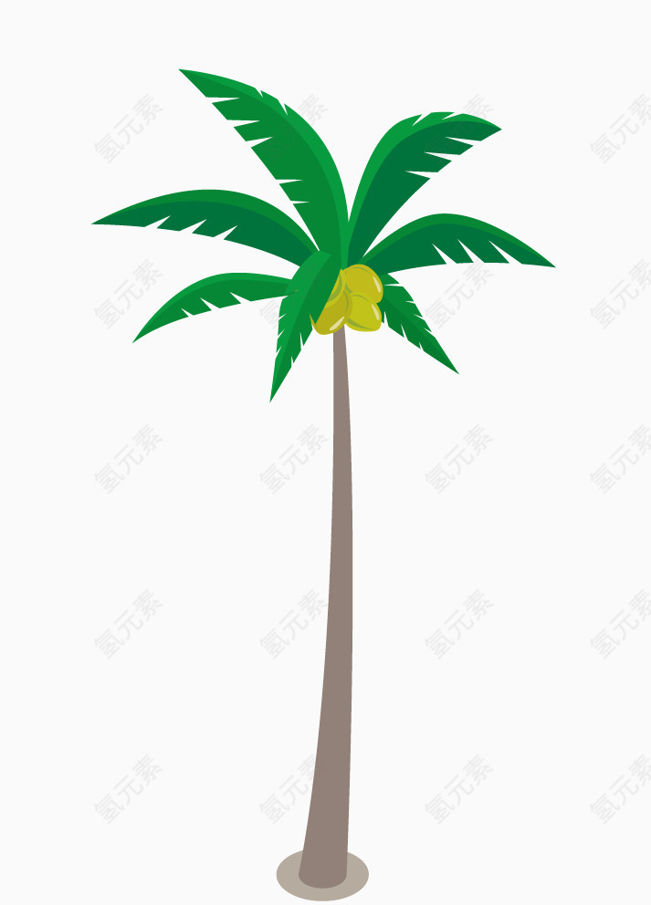 绿色椰子树