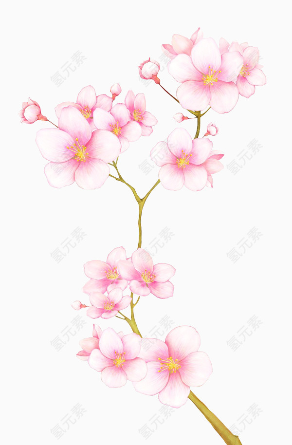 粉色的一枝花