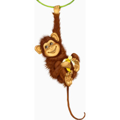 攀爬的猿猴