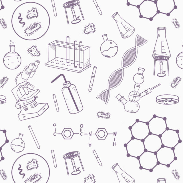 矢量科学实验下载