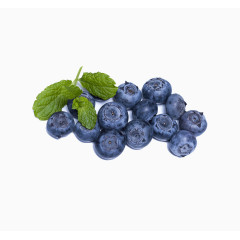 高清水果蓝莓素材